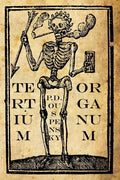 Tertium Organum: The Third Canon of Thought: A Key to the Enigmas of the World - Paperback