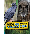Ravens and Wolves Team Up! - Hardcover