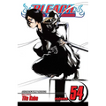 Bleach, Vol. 54 - Paperback