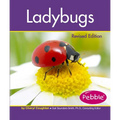 Ladybugs - Paperback