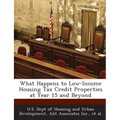 What Happens to Low-Income Housing Tax Credit Properties at Year 15 and Beyond - Paperback