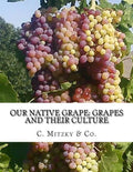 Our Native Grape: Grapes and Their Culture: A List of Old and New Grape Varieties - Paperback