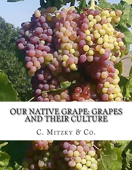 Our Native Grape: Grapes and Their Culture: A List of Old and New Grape Varieties - Paperback