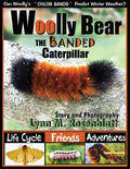 Woolly Bear the Banded Caterpillar: Life Cycle, Friends and Adventures - Paperback