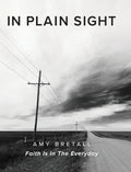 In Plain Sight: Faith Is In The Everyday - Hardcover