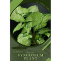 Syngonium Plant: Plant Guide - Paperback