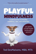 Playful Mindfulness: a joyful journey to everyday confidence, calm, and connection - Paperback