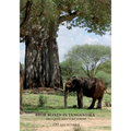 Bror Blixen in Tanganyika: Big Game and Volcanoes - Paperback