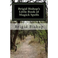 Brigid Bishop's Little Book of Magick Spells: 21st Century Magick - Paperback