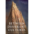 Between Different Cultures: Essays in Conversation with Yang Huilin - Paperback
