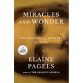 Miracles and Wonder: The Historical Mystery of Jesus - Paperback