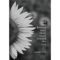 And the Flowers Turn Their Faces Toward the Sun - Hardcover