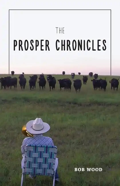 The Prosper Chronicles - Paperback