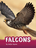 Falcons - Hardcover