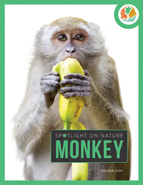 Monkey - Paperback