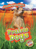 Prairie Dogs - Library Binding