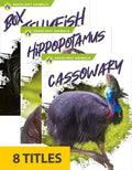 Deadliest Animals (Set of 8) - Paperback