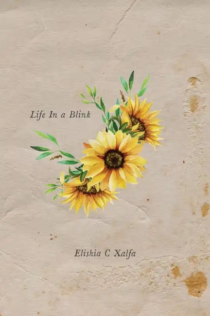 Life In a Blink - Paperback