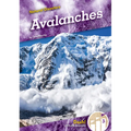 Avalanches - Library Binding