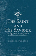 The Saint and His Saviour: The Progress of the Soul in the Knowledge of Jesus - Paperback