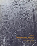 Introductory Physics: A Model Approach - Paperback