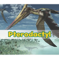Pterodactyl - Paperback