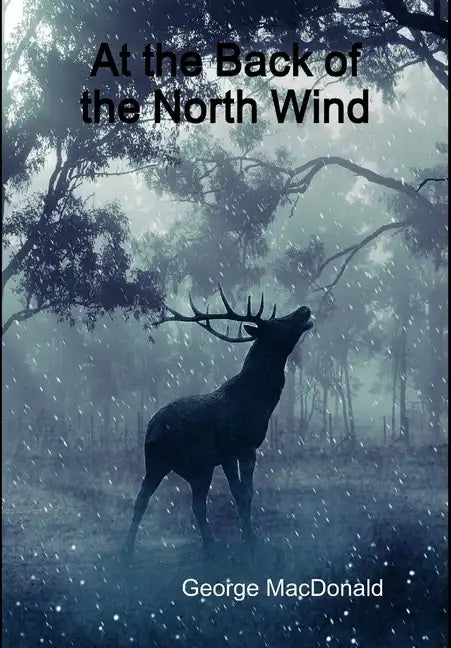 At the Back of the North Wind - Hardcover