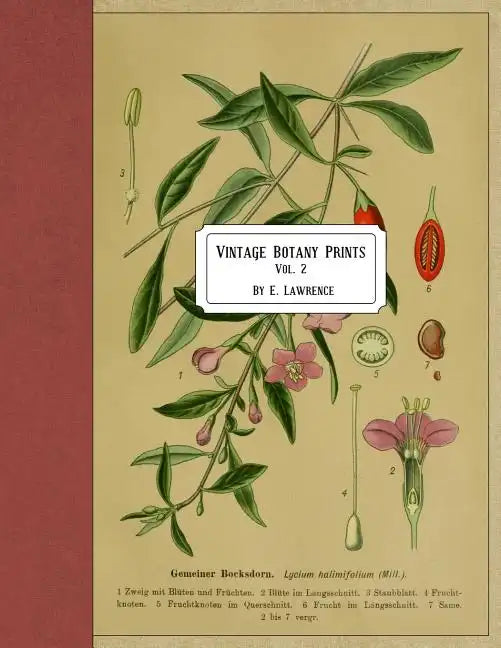 Vintage Botany Prints: Vol. 2 - Paperback
