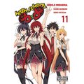 High School DXD, Vol. 11 - Paperback