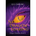 New Dragon Soaring: Dragon Shadows Book 3 - Hardcover