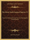 The Edwin Smith Surgical Papyrus V2: Facsimile Plates And Line For Line Hieroglyphic Transliteration - Hardcover