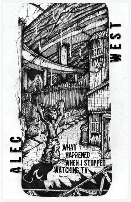 What Happened When I Stopped Watching TV - Paperback