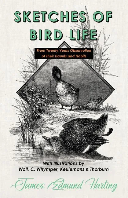 Sketches of Bird Life - From Twenty Years Observation of Their Haunts and Habits - With Illustrations by Wolf, C. Whymper, Keulemans, and Thorburn - Paperback