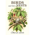 Birds and their Nests - Paperback
