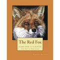 The Red Fox: Learn How to Scratch! The Art of Fine Lines - Paperback