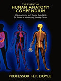 The Essential Human Anatomy Compendium: A Comprehensive and Concise Study Guide for Success in Introductory Anatomy Courses - Paperback