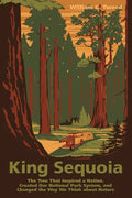 King Sequoia: The Tree That Inspired a Nation, Created Our National Park System, and Changed the Way We Think about Nature - Paperback