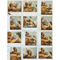 Polaroids - Hardcover