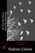 The Boy Who Knew What The Birds Said - Paperback