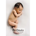 Postpartum & Infant Care Doula WorkBook 2024 - Paperback