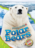 Polar Bears - Library Binding
