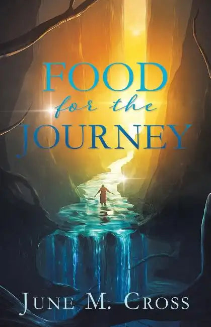 Food For The Journey - Paperback