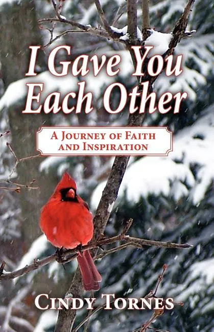 I Gave You Each Other: A Journey of Faith and Inspiration - Paperback