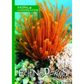 Echinoderms - Library Binding