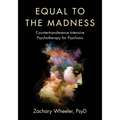 Equal to the Madness: Countertransference Intensive Psychotherapy for Psychosis - Paperback