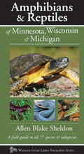 Amphibians & Reptiles of Minnesota, Wisconsin & Michigan: A Field Guide to All 77 Species & Subspecies - Paperback