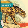 Jaguars - Library Binding