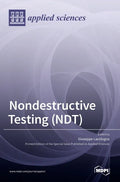 Nondestructive Testing (NDT) - Hardcover