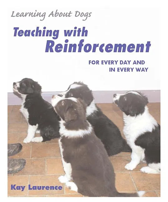 Teaching with Reinforcement: For Every Day and in Every Way - Paperback