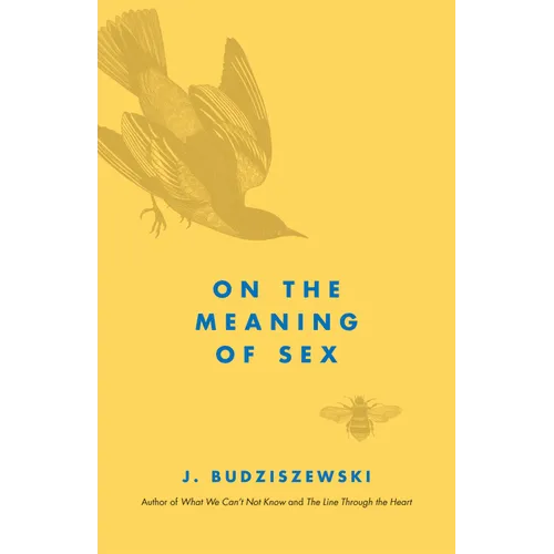 On the Meaning of Sex - Paperback